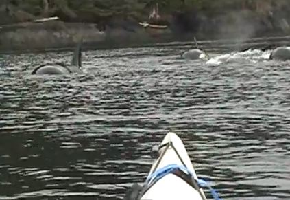boat3